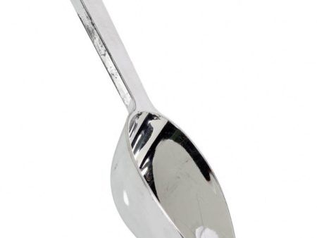 Silver Scoop on Sale