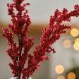 Red Berry Stems Christmas Foliage Decorations For Sale