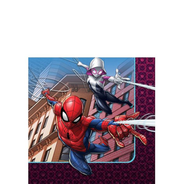 Spider-Man Kit for 16 People Online Sale